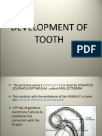 Development of Tooth Lecture-1