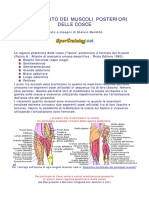 Allenamento Muscoli Posteriori Coscia PDF