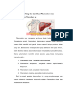 Morfologi_dan_Identifikasi_Plasmodium_vi.docx