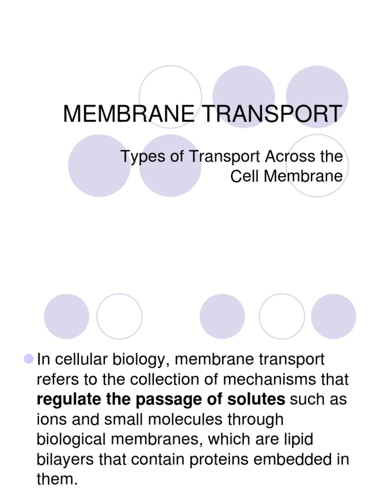Membrane Transport Mechanisms Explained | PDF | Cell Membrane | Ion Channel