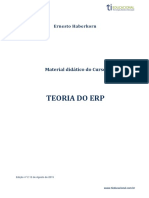 manual_teoria_do_erp.pdf