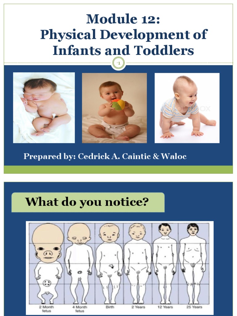 Physical Development of Infants and Toddlers: Prepared By: Cedrick A ...