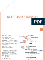Gluconeogeogenesis