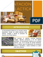 Fermentación Láctica