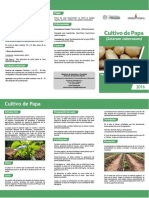 Triptico Cultivo de Papas