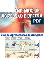 Imunidade Adaptativa Novo