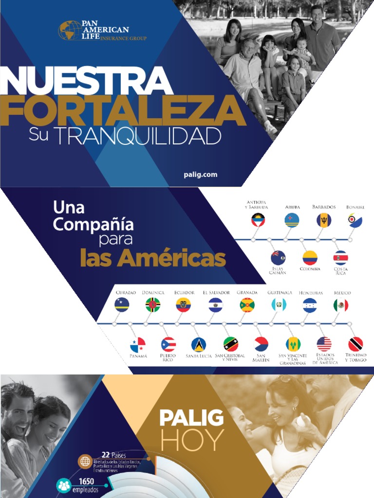 2016 PALIG Corporate Brochure Spanish | PDF | Corporación multinacional ...