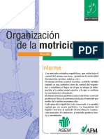 Organizacion de la motricidad.pdf