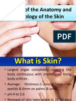 REVIEW of The Anatomy and Physiology of The Skin
