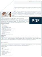 Academia Cisco Oracle UTN Cordoba JAVA Inicial PDF