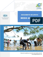Medio Ambiente ONU.pdf