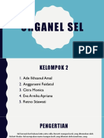 Organel Sel