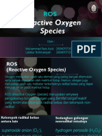 ROS (Reactive Oxygen Species