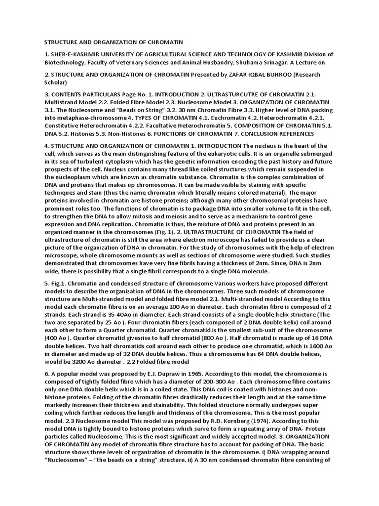 Chromatin Structure and Organization | PDF | Chromatin | Ribosomal Rna