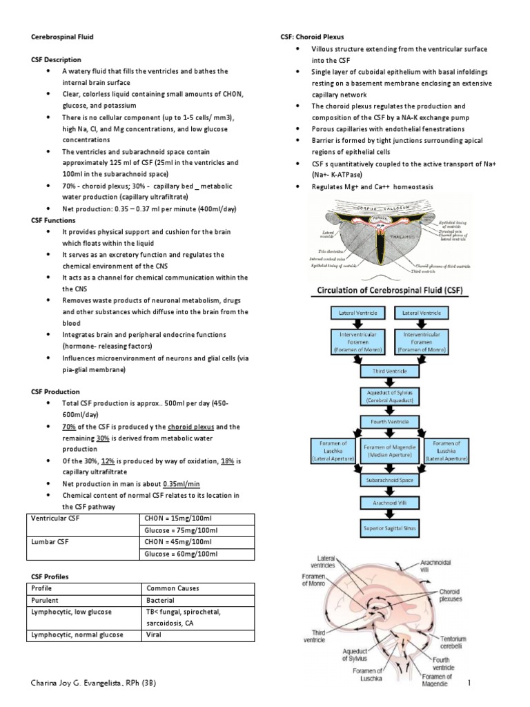 Cerebrospinal Fluid Overview and Functions | PDF | Cerebrospinal Fluid ...