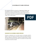 Manejo de Vacas Lecheras en Tambo Confinado