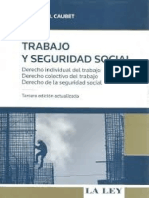 Trabajo y Seguridad Social - Amanda Caubet (1).pdf