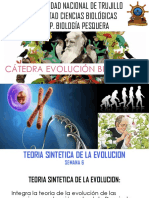 SEMANA 6 TEORIA SINTETICA DE LA EVOLUCION.pptx