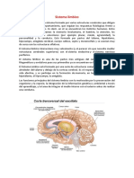 Sistema Límbico PDF