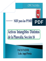 Intangibles Seccion 18 PDF