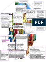Mapa conceptual de documentos curriculares nacionales
