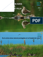 EDAM - Pantanos de Villa