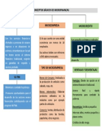 Conceptos Básicos de Microfinanzas