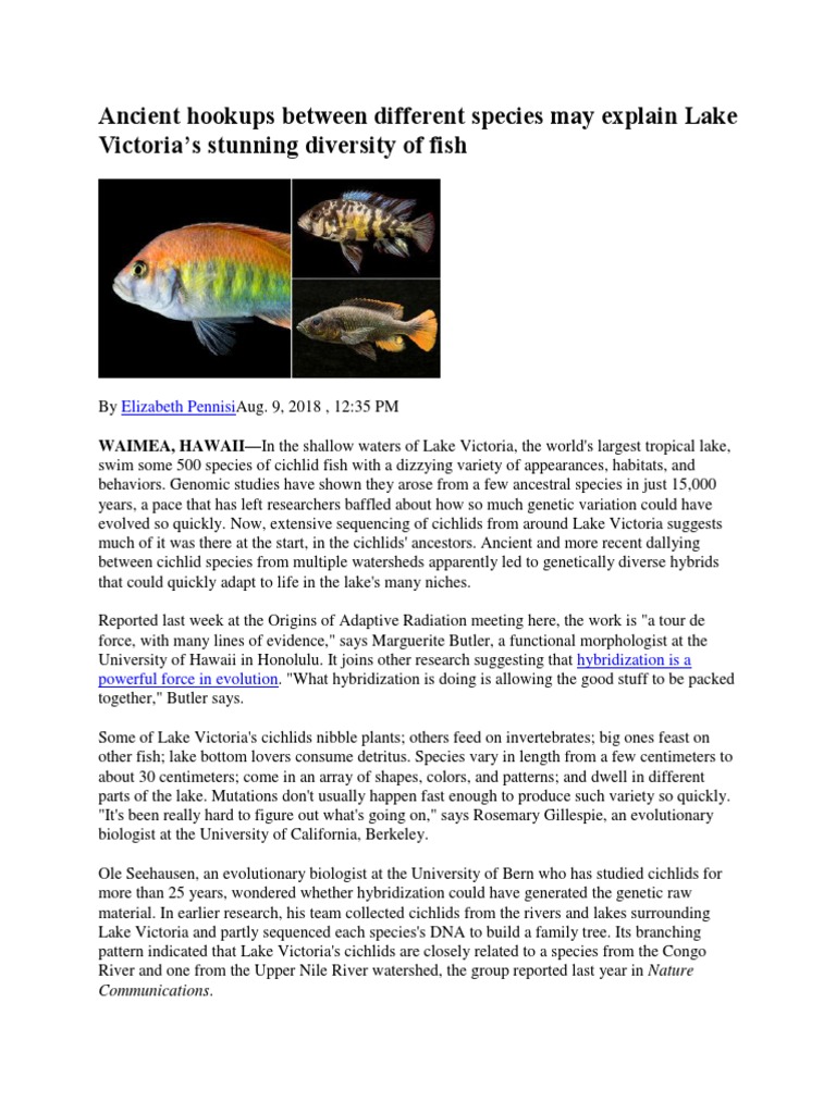 Lake Victoria Cichlid Diversity Explained | PDF | Evolution | Species