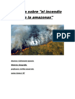Incendios Forestales Del Amazonas 2019
