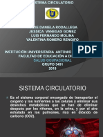 Sistema Circulatorio