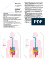 Digestive System Facts