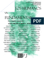 Direitos Humanos e Fundamentais Luís Sgarbossa.pdf