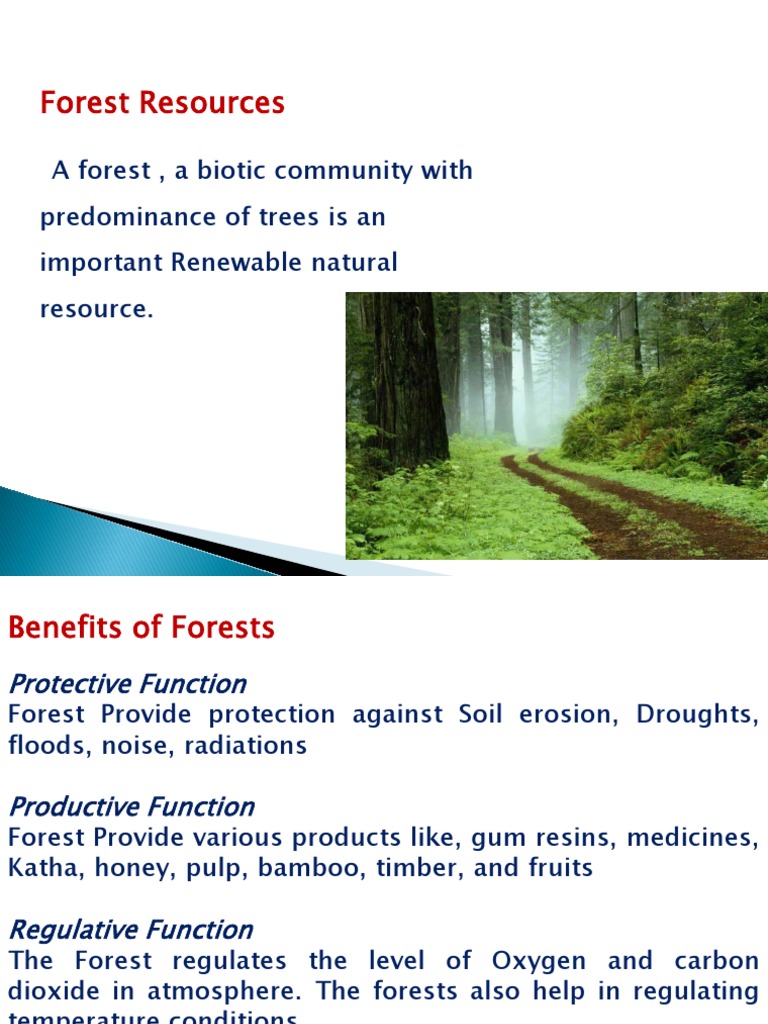 Forests: Functions and Deforestation | PDF | Deforestation | Flood