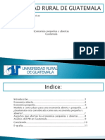 Economías Abiertas y Pequeñas en Guatemala