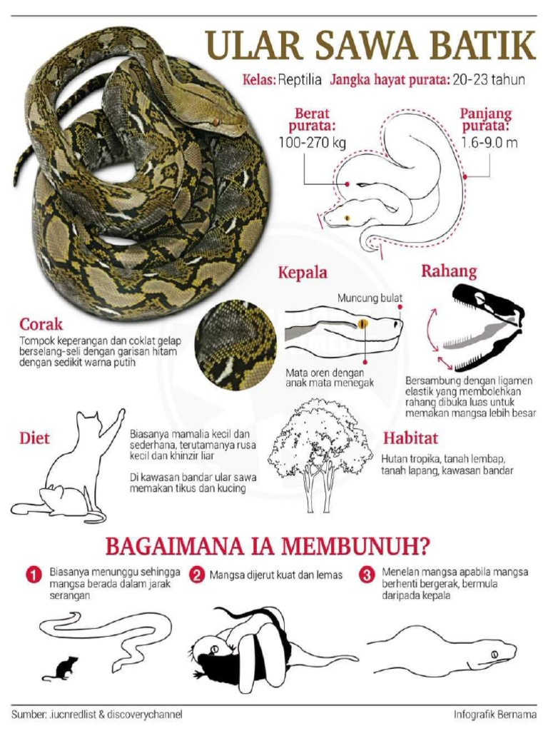 Ayolning ichkaridan korinish