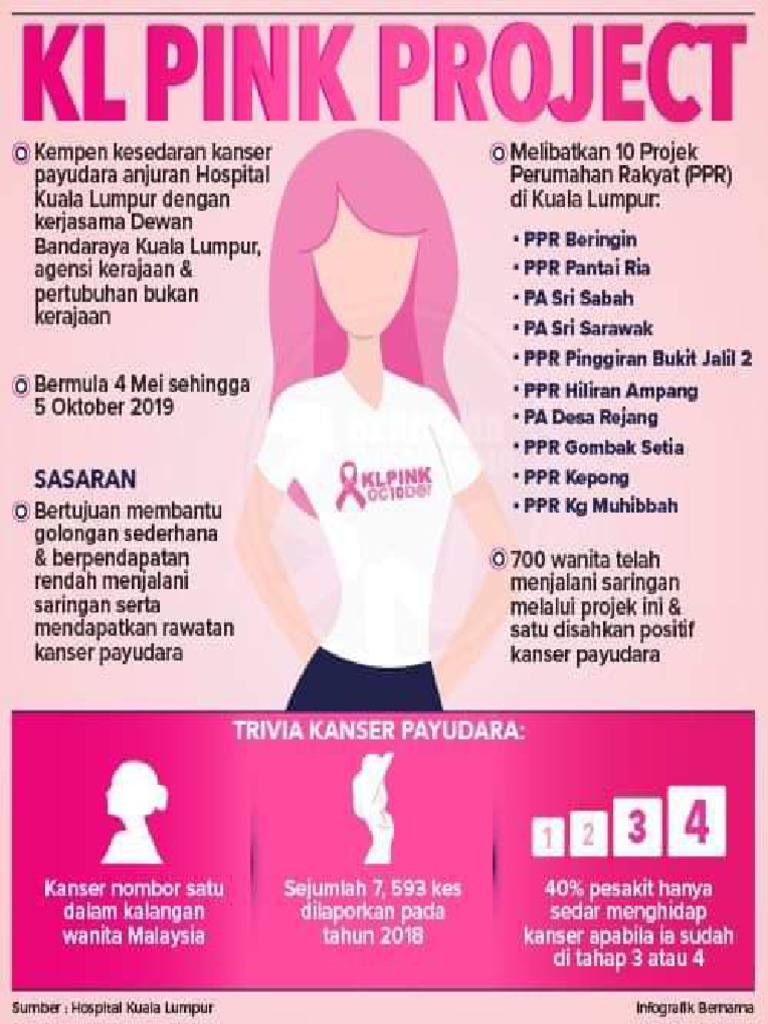 Pink Project | PDF