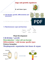 Plant Cell Biology and Growth Regulators