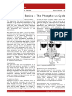 Phosphorus Basics - The Phosphorus Cycle: Fact Sheet 12 Agronomy Fact Sheet Series