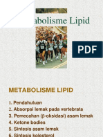 Metabolisme Lipid PDF