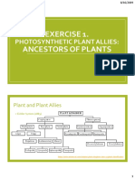 Photosynthetic Plant Allies