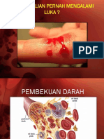 Pembekuan Darah