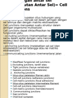 Cell Junctions: Klasifikasi Fungsional dan Protein Utama