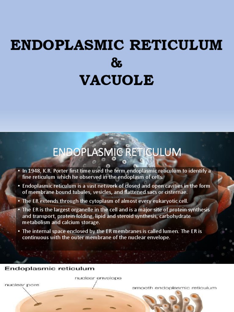 Cell Biology | PDF | Endoplasmic Reticulum | Vacuole