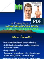 METAB.PORFIRIN FKUB 2012.ppt