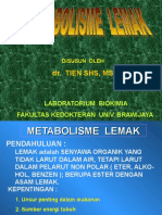 Metabolisme Lemak