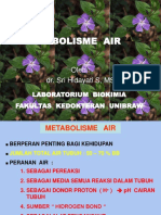 METABOLISME AIR - Dr. Tien
