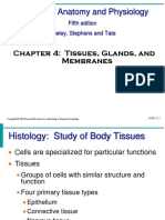 Primary Tissue