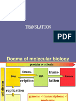 TRANSLAT12