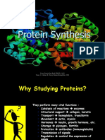 Lecture Presentation - Protein Synthesis.ppt