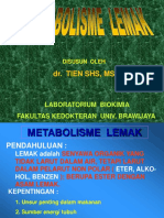 METABOLISME  LEMAK 2009.ppt